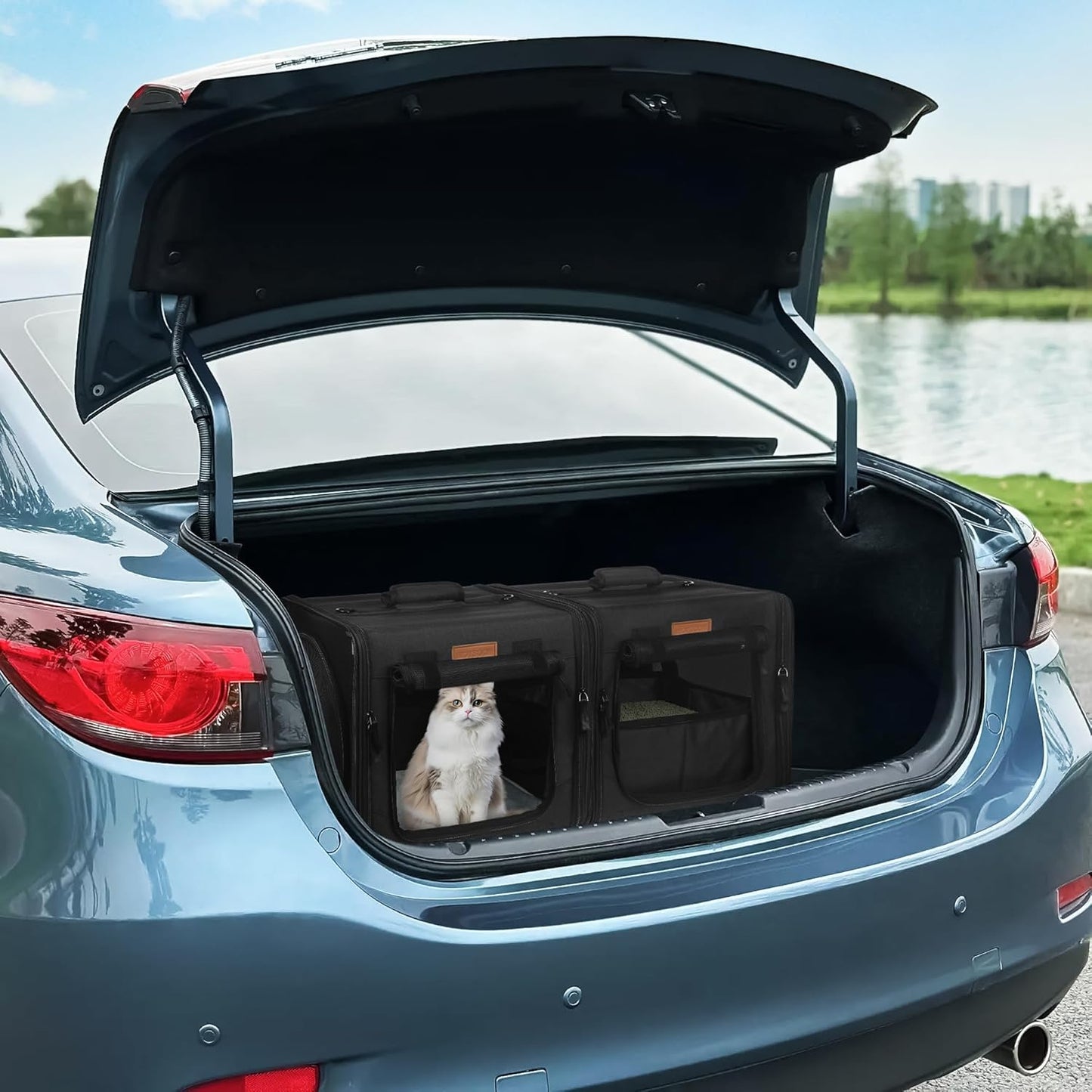 Collapsible Cat Carrier for 2 Small Cats, 28"X14"X14" Portable Kitten Cat Travel Carriers with Little Box, Soft Pet Carrier with Flannel Mat and Hammock for Gift, Indoor, Outdoor, Vet (Black)