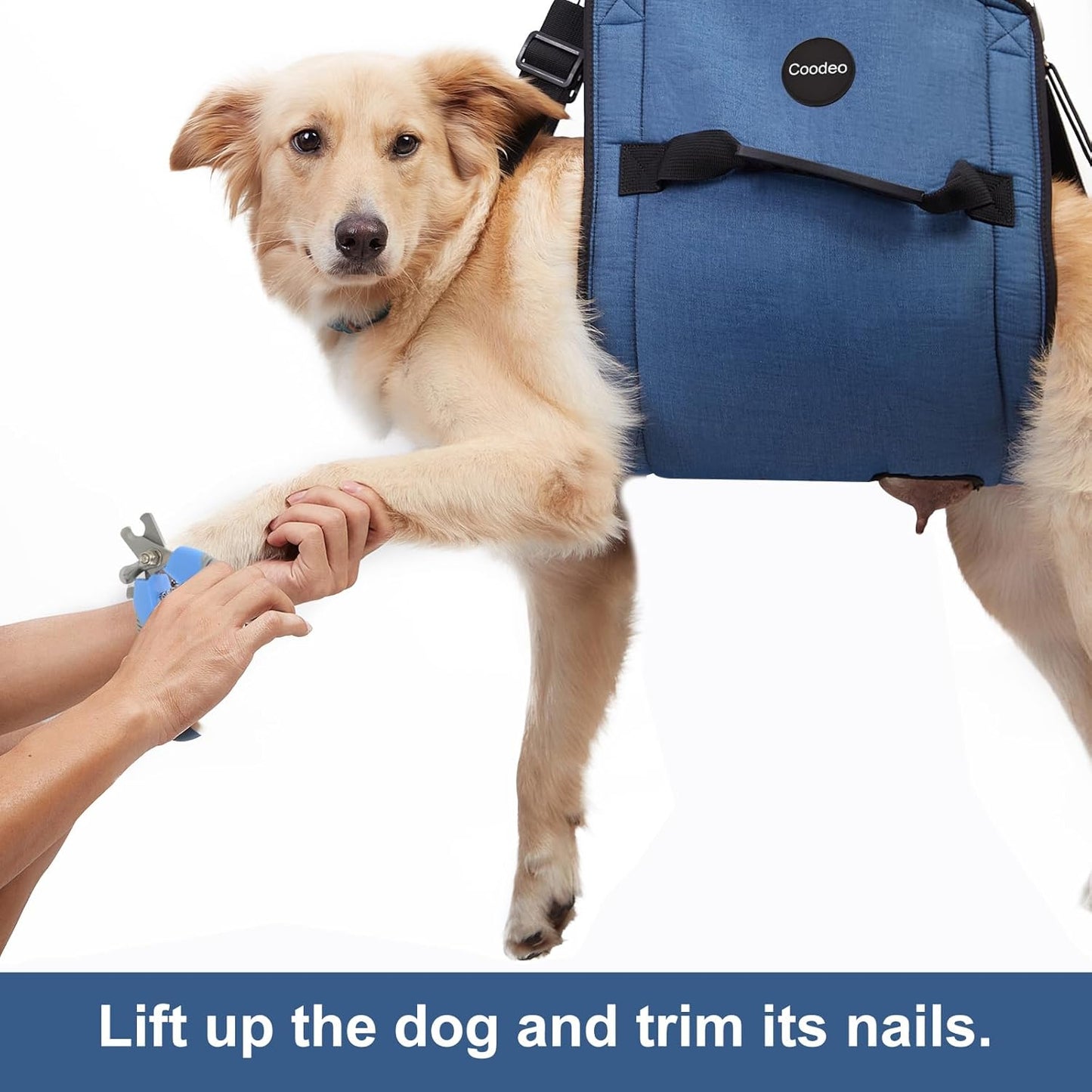 Dog Carry Sling, Emergency Backpack Pet Legs Support & Rehabilitation Dog Lift Harness for Nail Trimming, Dog Carrier for Senior Dogs Joint Injuries, Arthritis, up and down Stairs (L, Blue)