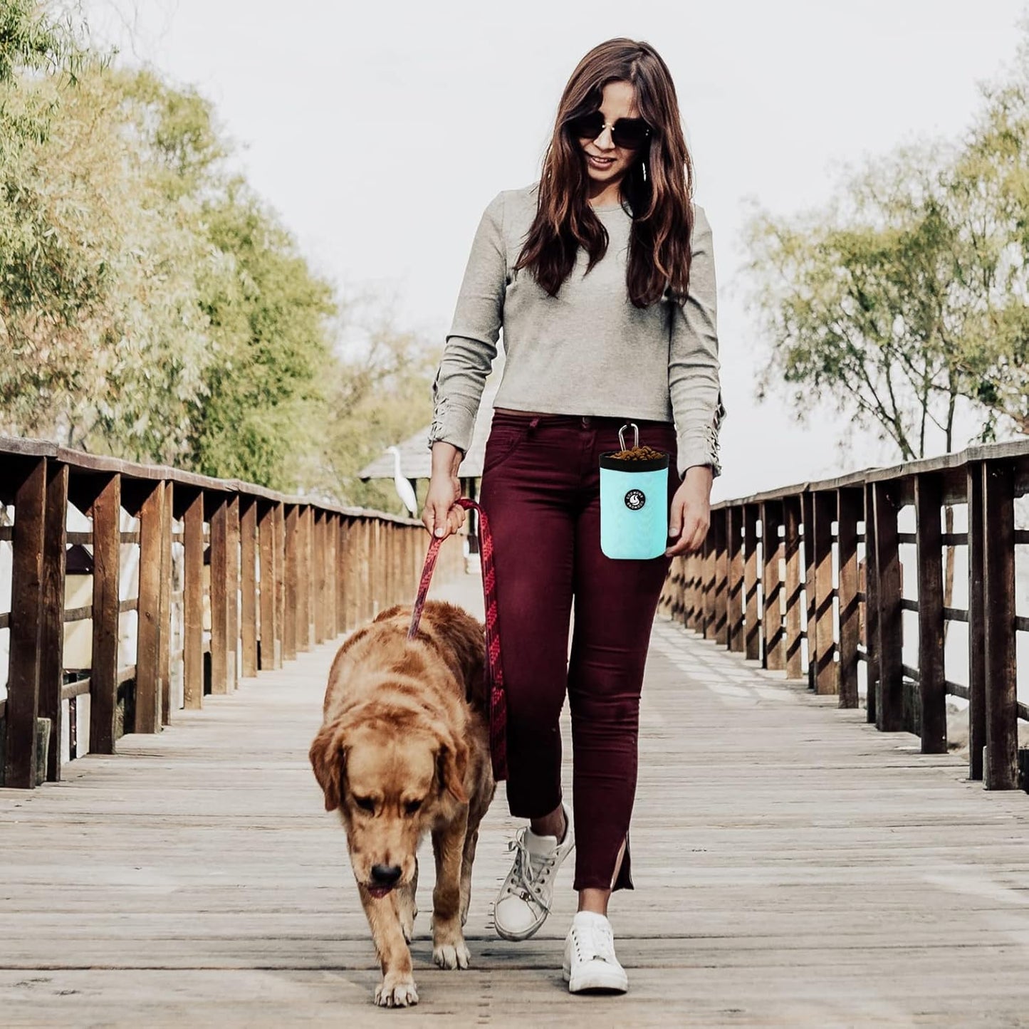 Dog Training Treat Pouch Bag, Doggie Puppy Treat Snack Bags Reward Pouch Bait Bag Dog Treat Carrier Holder with Clip (Mint Green)