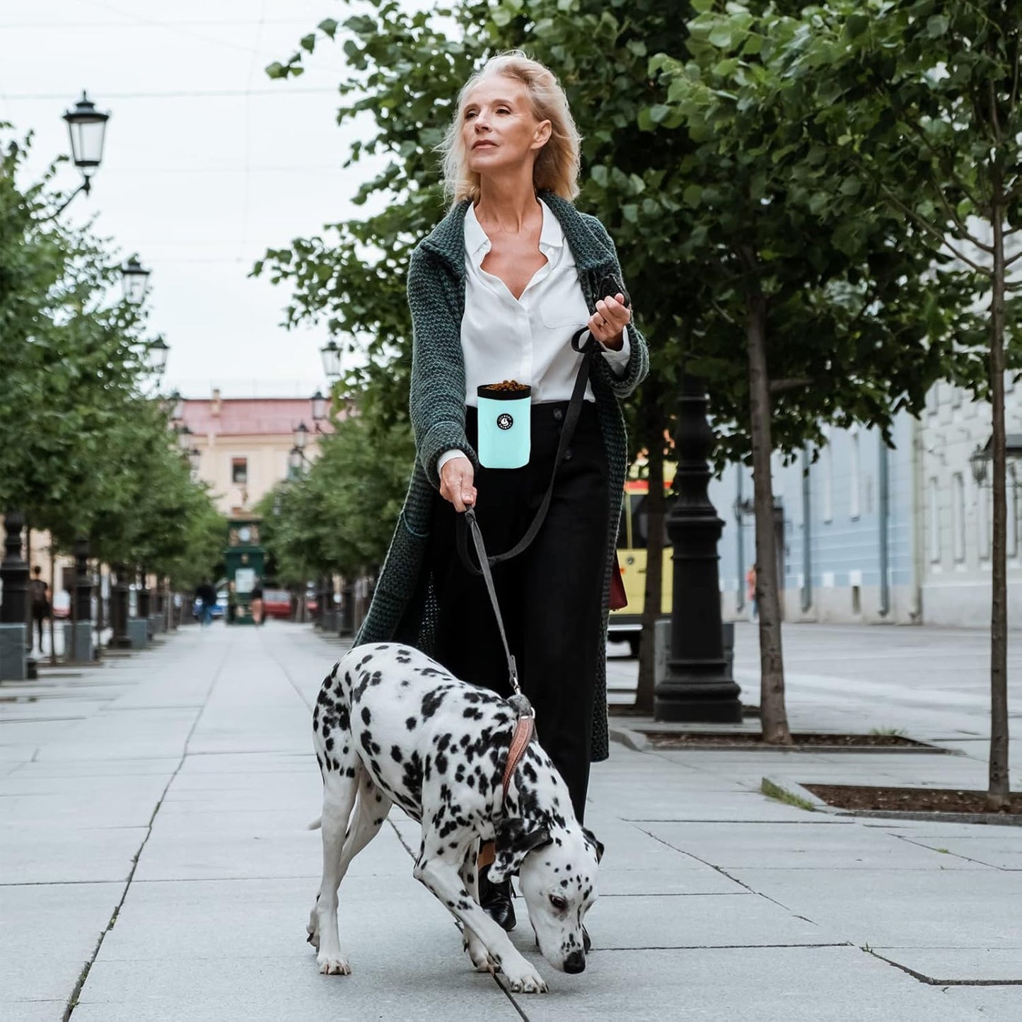 Dog Training Treat Pouch Bag, Doggie Puppy Treat Snack Bags Reward Pouch Bait Bag Dog Treat Carrier Holder with Clip (Mint Green)
